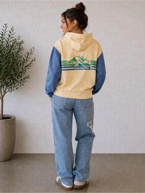 Very Rare Vintage Aviator Nation Surfer 3 stripe hoodie